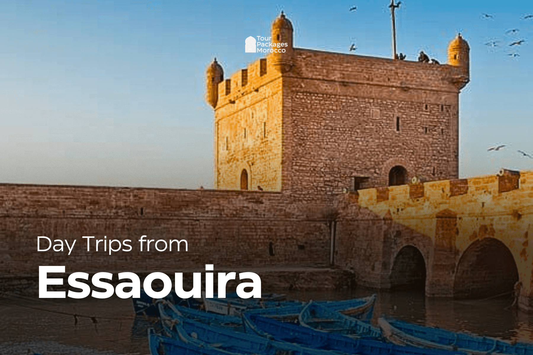 Day Trip from Essaouira